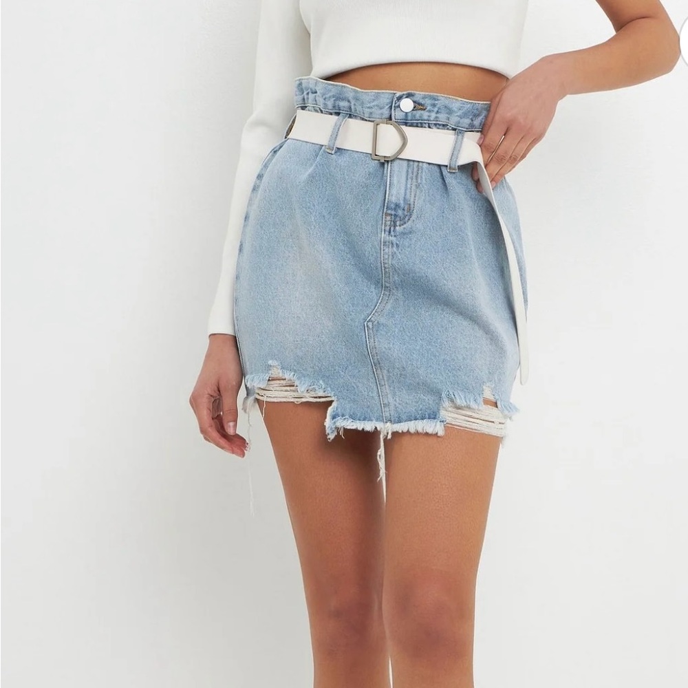 Grey Lab Skirt - Picture 3 of 10